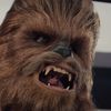 ChewThisBacca 