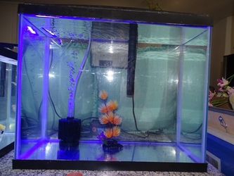 30 gal fish tank , filter, light
