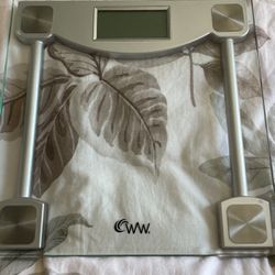 Digital Scale From Costco