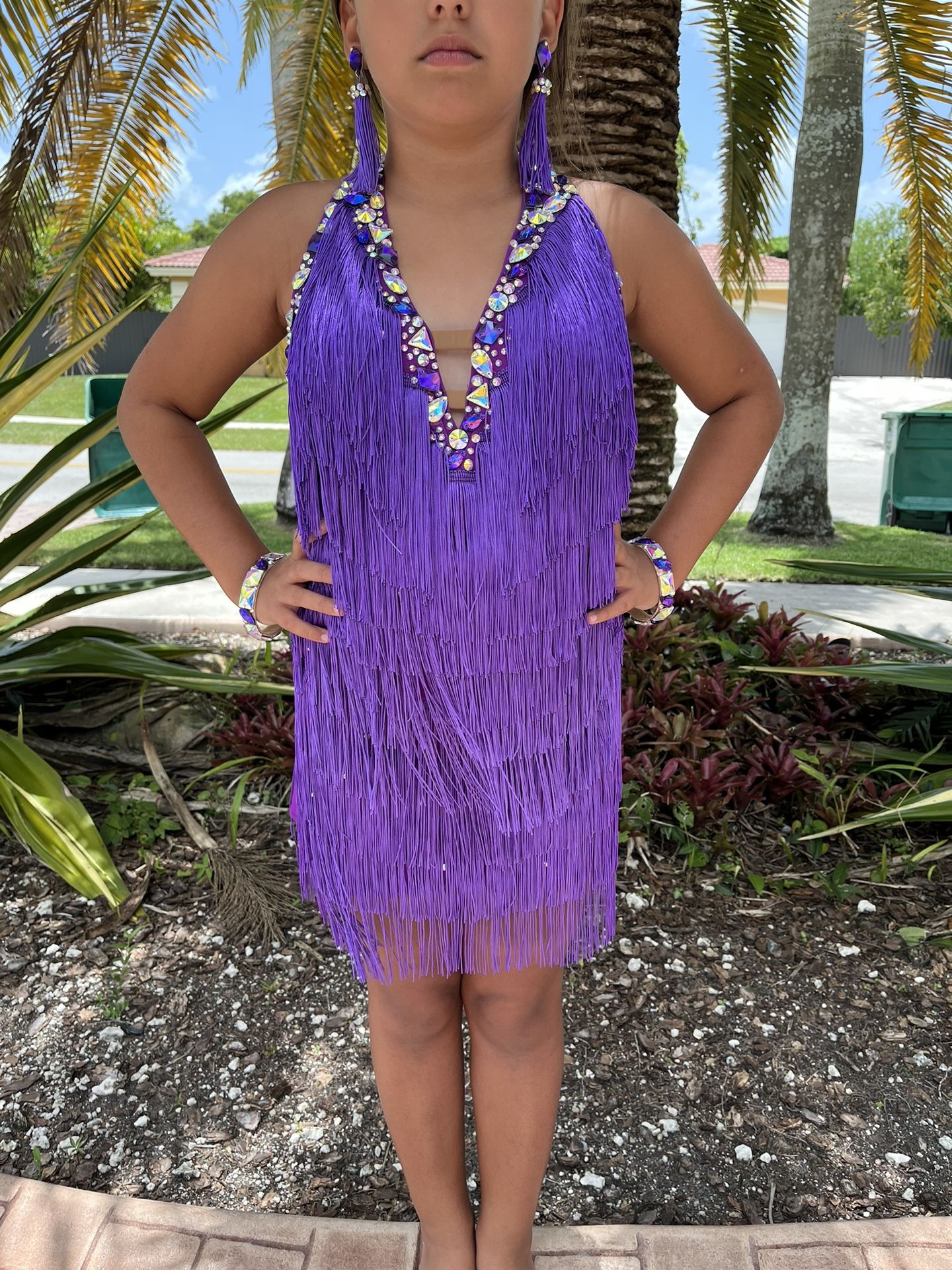 Elegant Purple Ballroom Costume With Rhinestones and Fringe