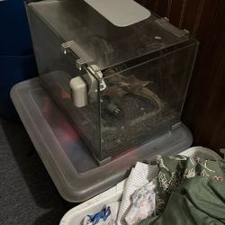 Small Fish Tank 