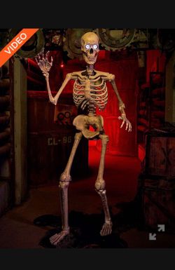 Spirit Halloween Grim Skeleton