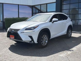 2019 Lexus NX 300h