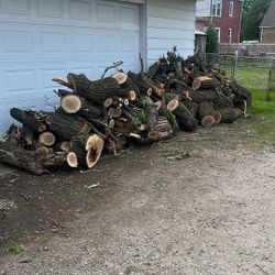 Firewood