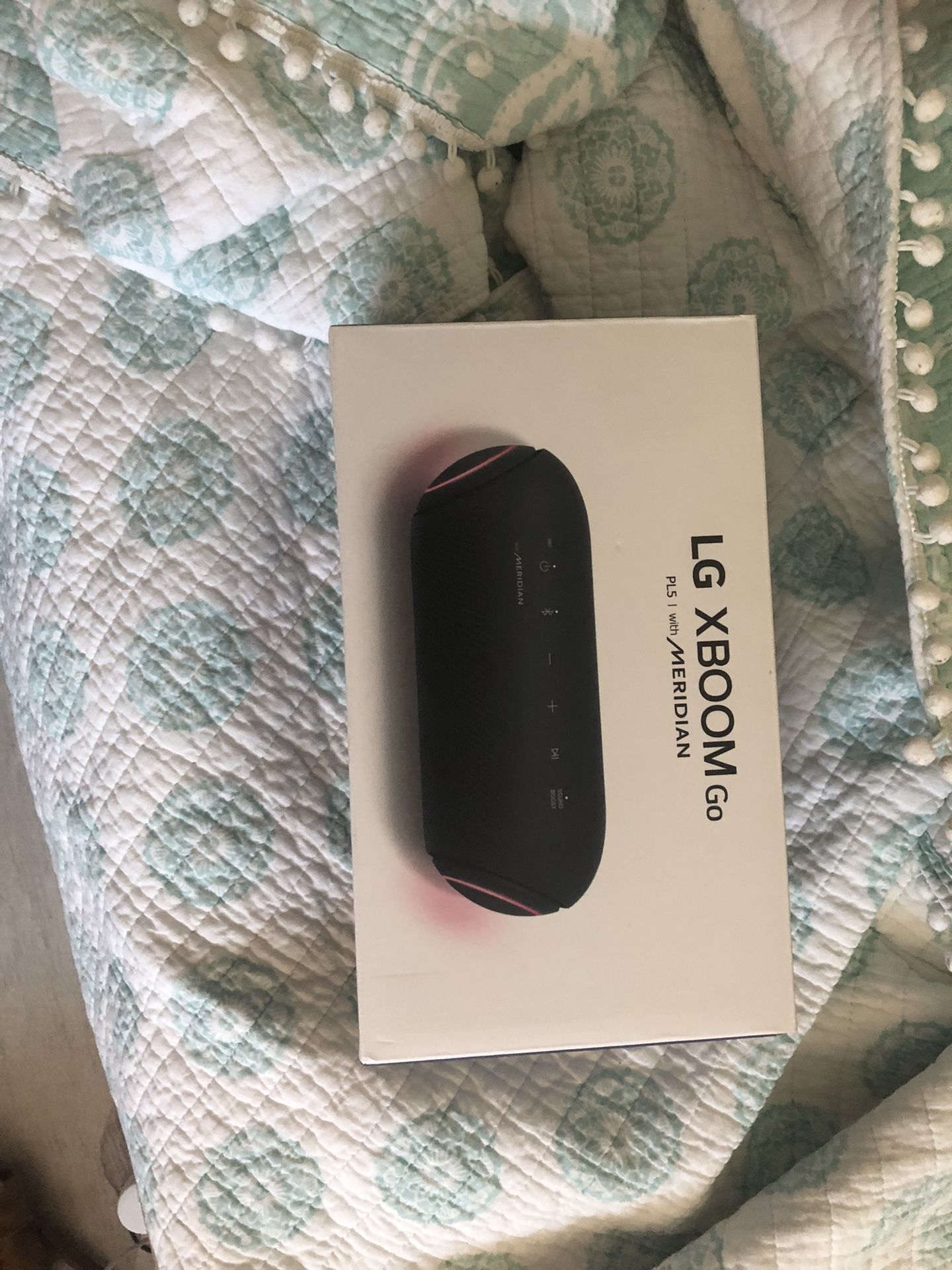 Like New Constitution LG XBOOM GO PL5