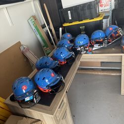 Softball Fast pitch Gloves Bags Helmets Bats