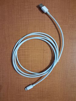 New factory lightning Apple charger $10