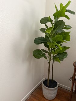Indoor Faux Plant