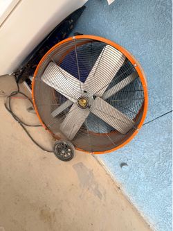 Huge fan