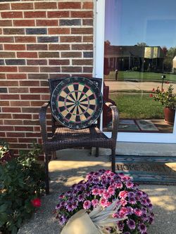 Bristle Dartboard