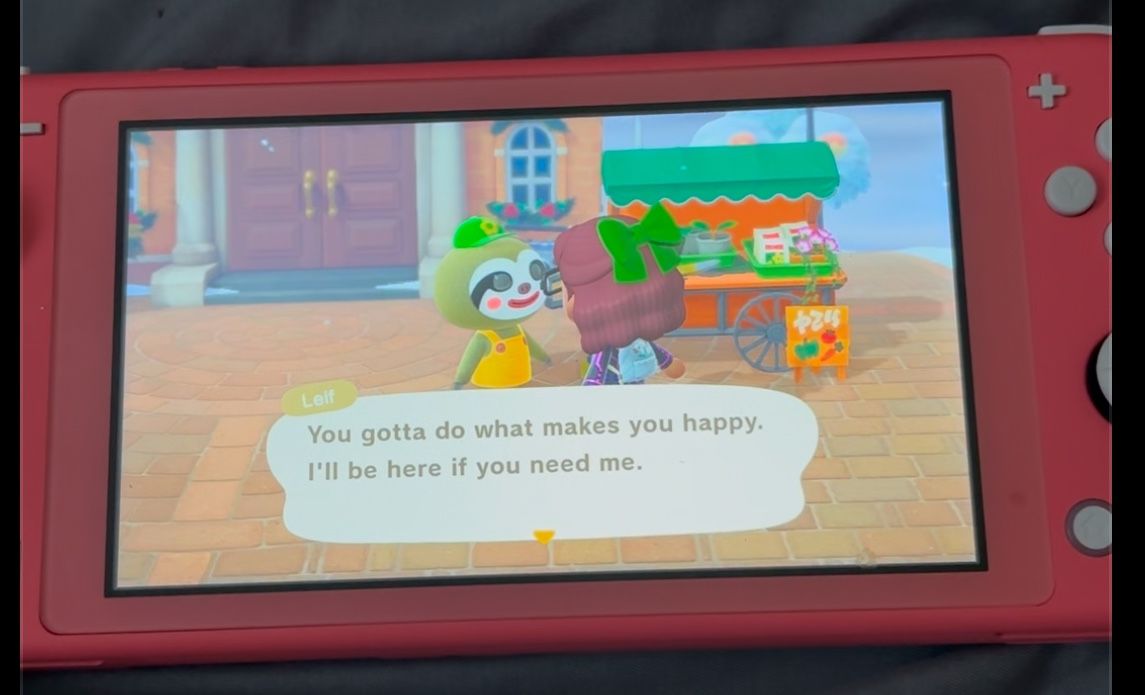 Nintendo Lite Switch