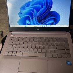 HP Laptop 
