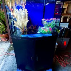 Concave Front 40 Gallon Fish Tank With Cabinet Stand, 1 Year Old