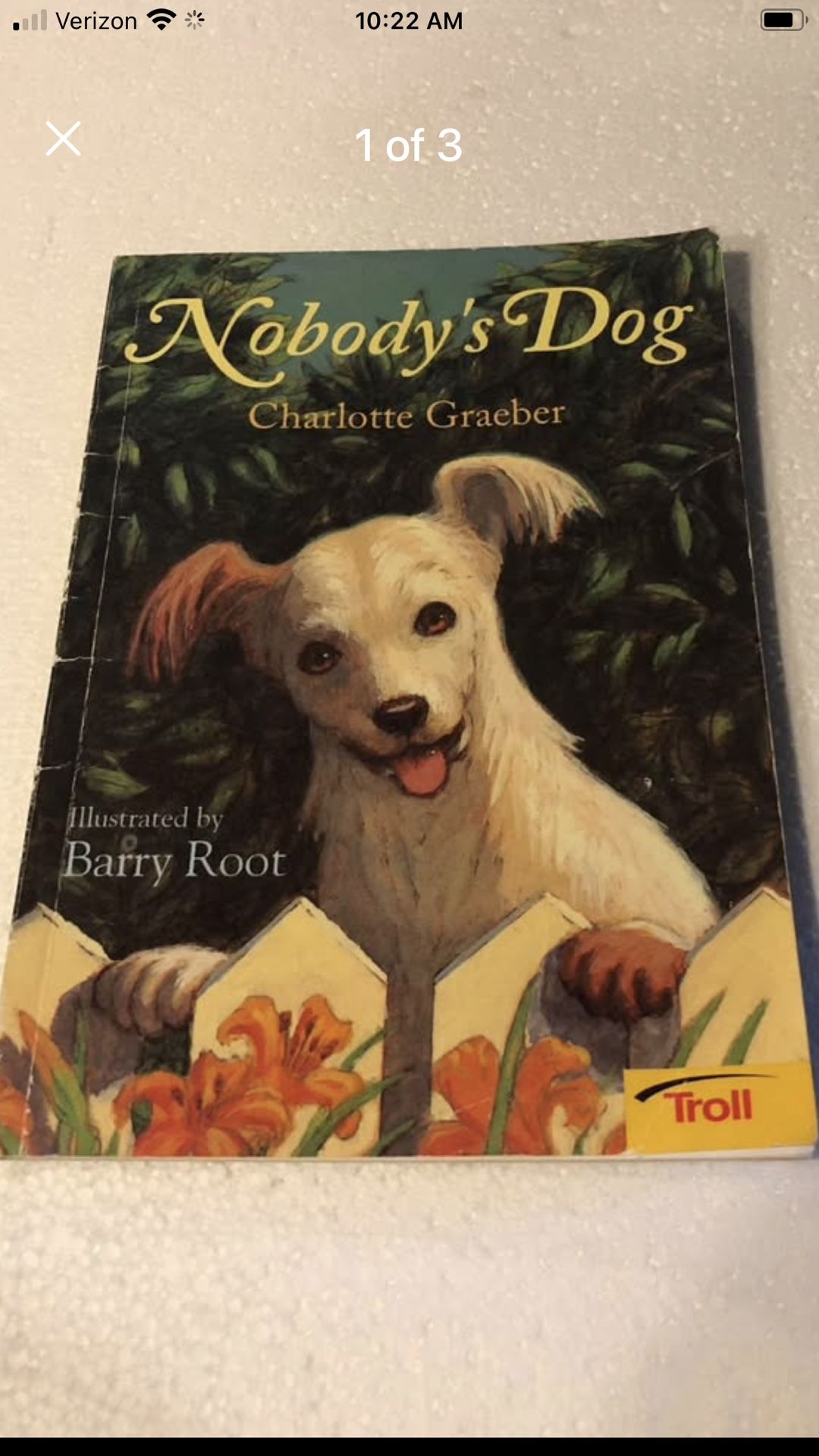 No Bodies Dog.     Progress 