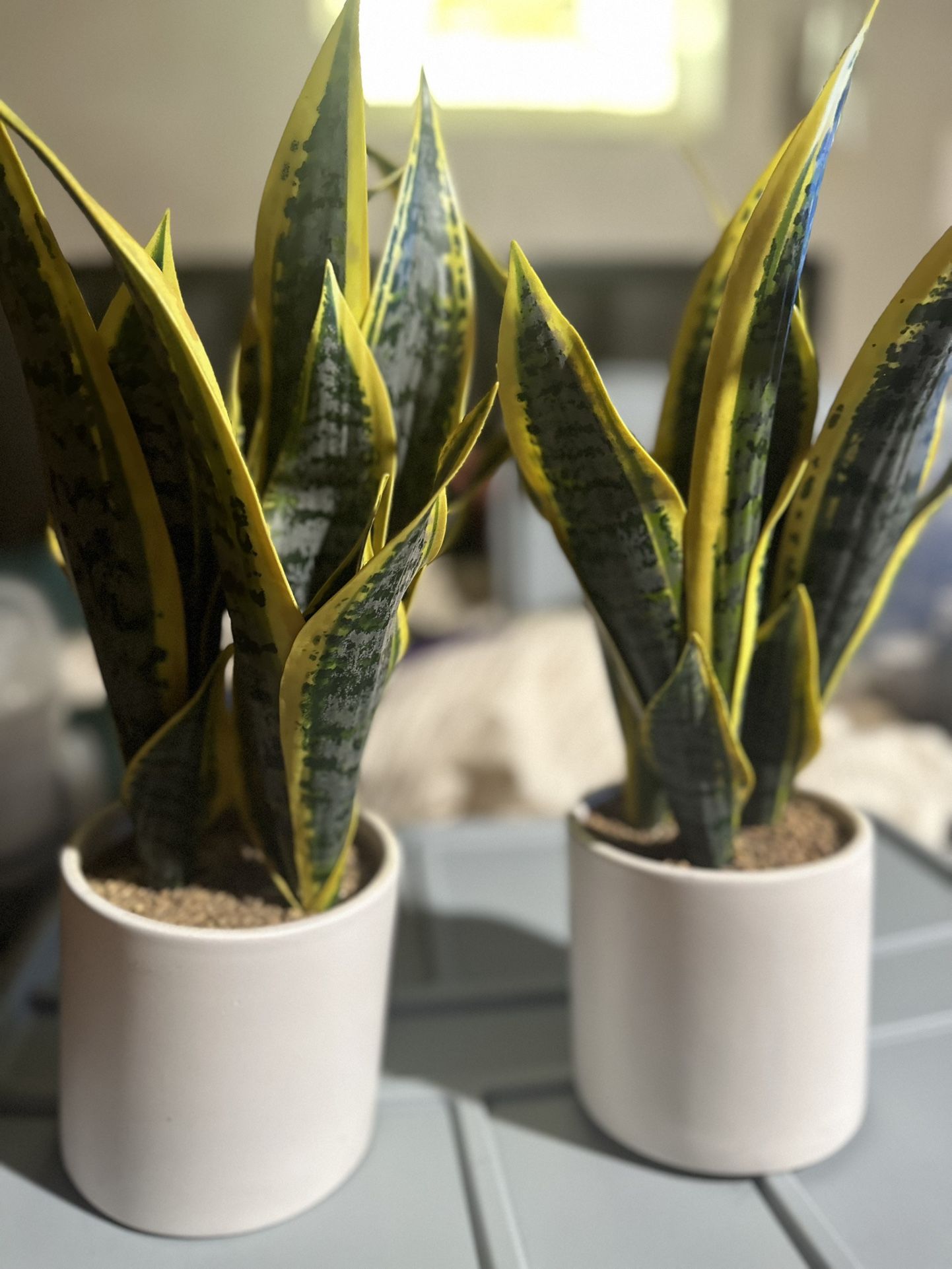 2 Fake Realistic Looking Plants
