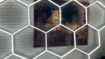 hexagon lights