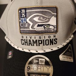 NFC CHAMPIONS Locker Room Hat New Era Snap Back