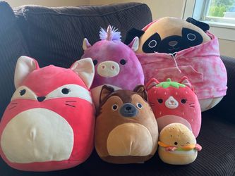 Squishmallow Bundle