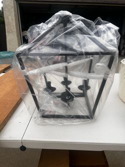 Transglobe Lighting fixture