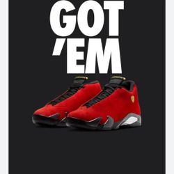 Jordan 14