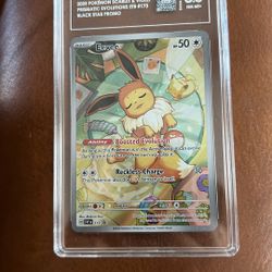 Tag 8.5 Eevee 