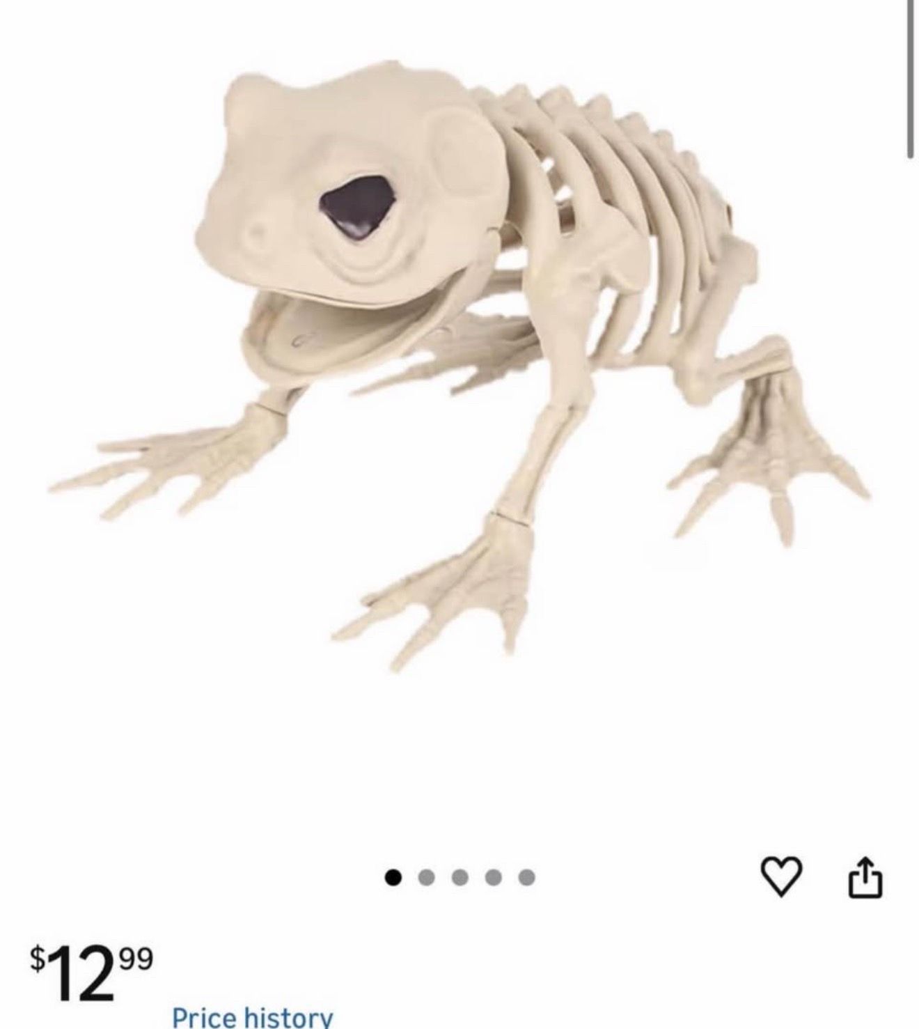Skeleton frog & fish