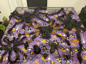 Halloween Spiders