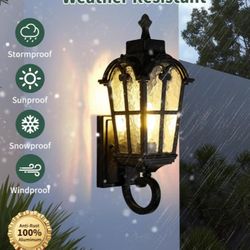 Outdoor Wall Light Fixture