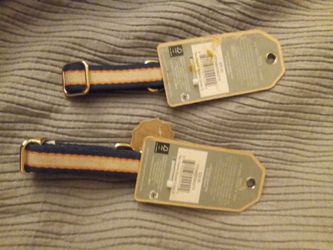 Dog Collar A