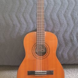 Oscar Shmidt Acoustic Gutar