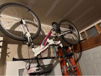 Adult bike
