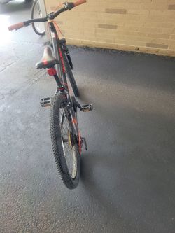 Haro 24"