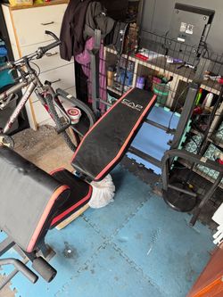 Bench Press Bench