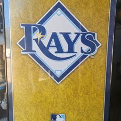 Official MLB Tampa Bay Rays Logo Poster Glass Framed by Costacos, 22 3/4" × 34 1/4" Hard to Find