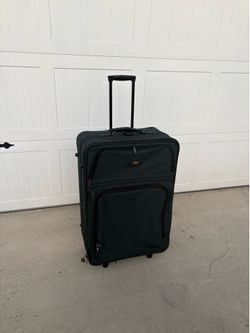 Large checked in luggage 29” height