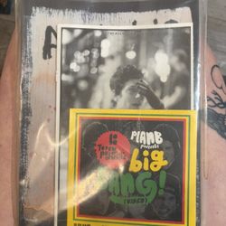 Ed Templeton Collector Arkitip Mag/ Totally Corporate Zine + Plan B Bing Bang 