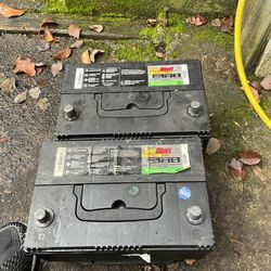 2 Ever start Maxx Batteries