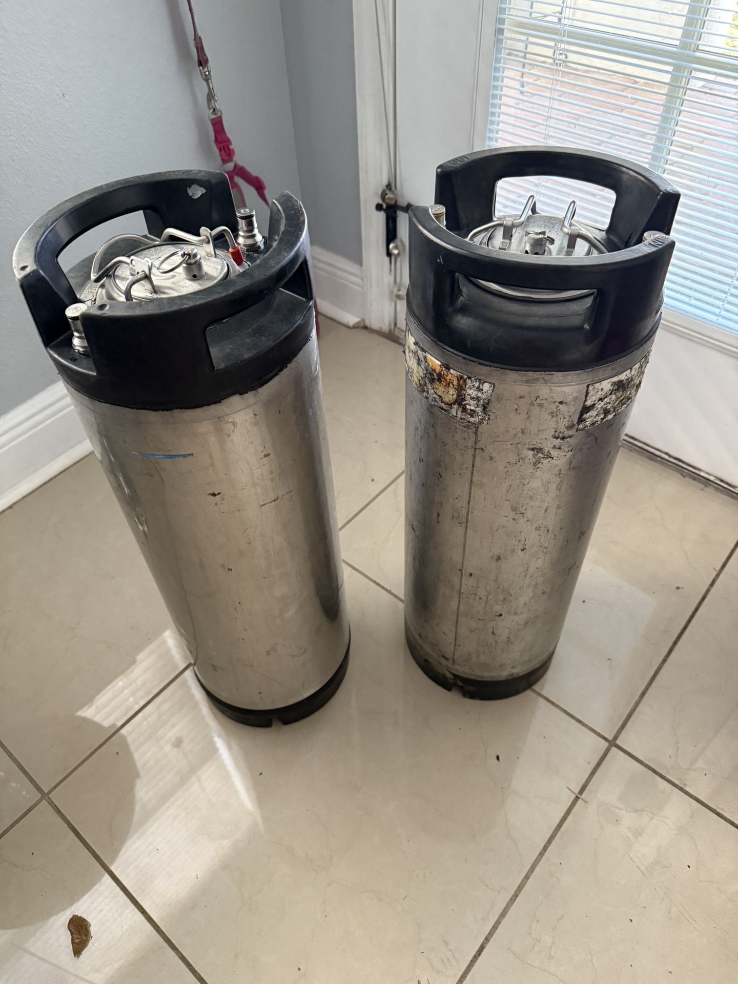 (2) Ball Lock 5 Gallon Kegs
