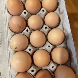 Fresh Farm Eggs $7
