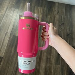 30 Oz Limited Edition Pink Parade 