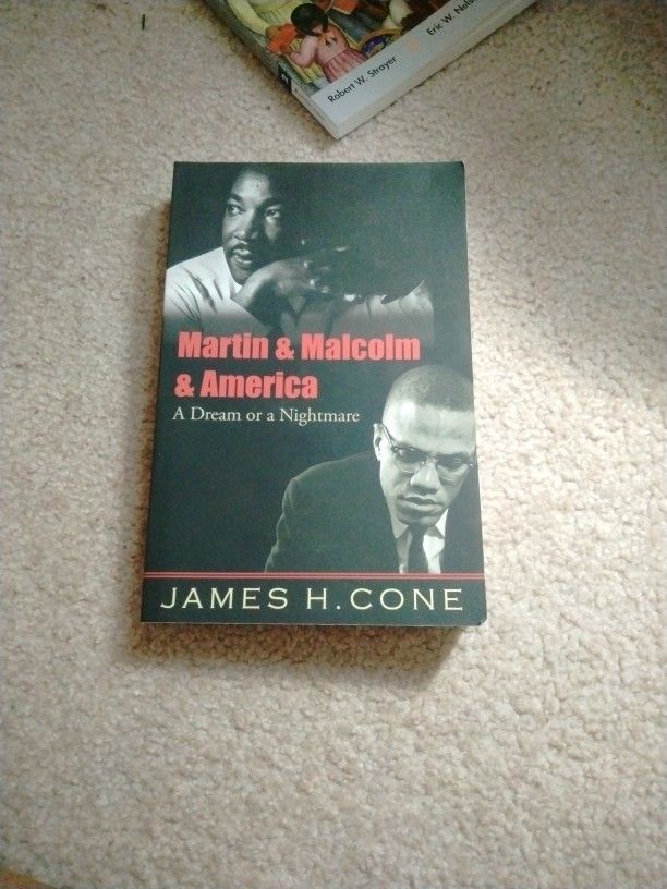 Martin And Malcolm And America A Dream Or A Nightmare