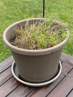 FREE Large Planter