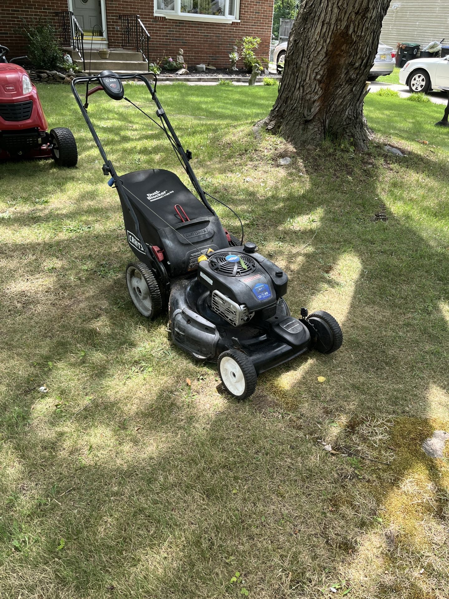 Lawnmower Self Propelled Bag