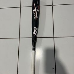 Baseball bat