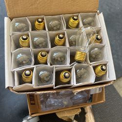 Brass Base Light Bulbs