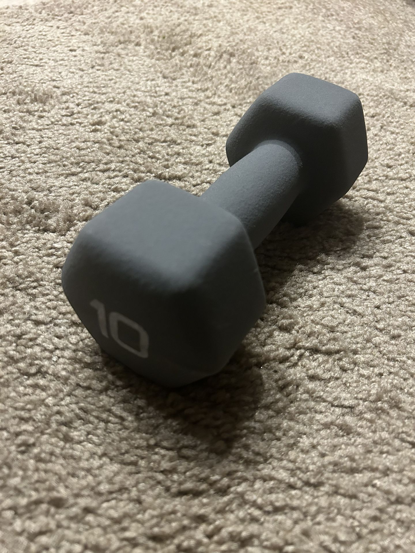 10 Pound Dumbbell Weight