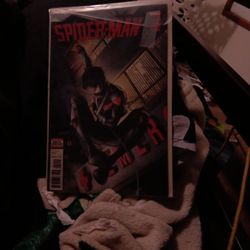 Spider Man Comic 