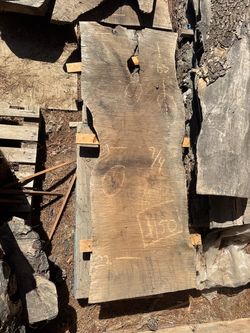 Black walnut slab