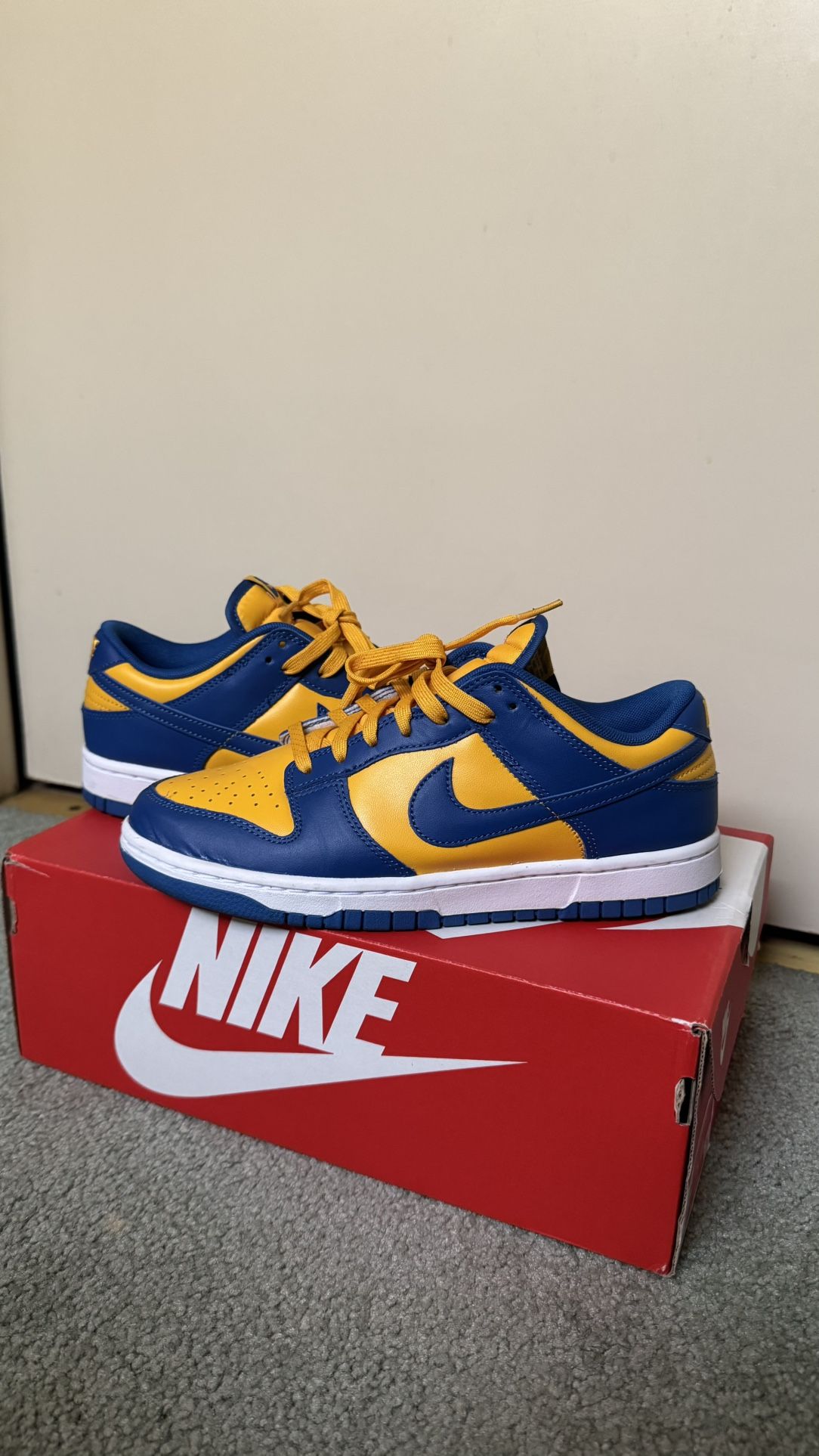 Nike Dunks 