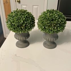 Artificial Boxwood In Vases